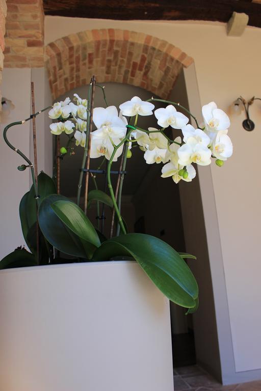 Dimora Cortese Castagnole delle Lanze ภายนอก รูปภาพ